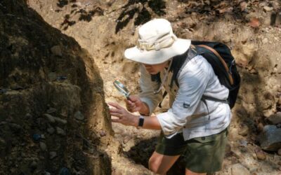 Informes arqueológicos: claves para patrimonio