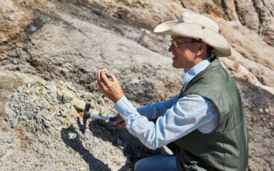 Prospección arqueológica: ¿cuándo es necesaria?